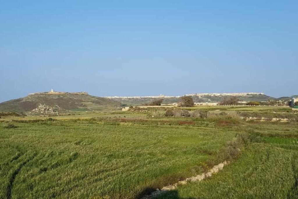 Farmhouse Villa With Large Pool And Garden In Gozo Gharb  Exterior photo